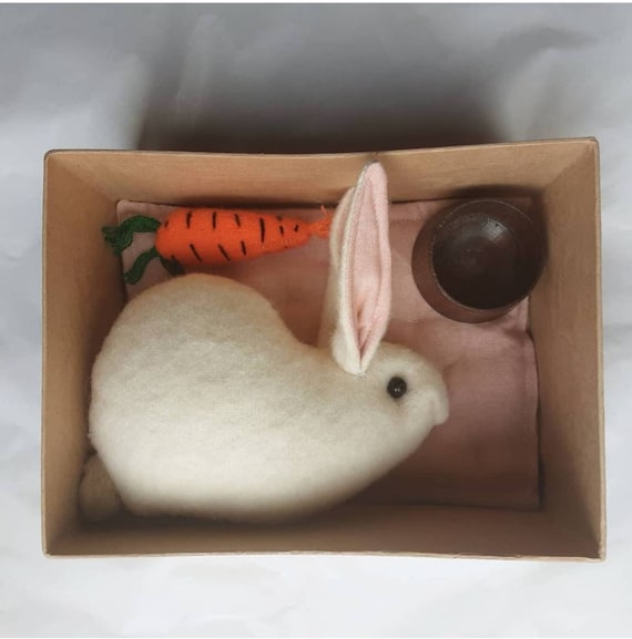 Rabbit in a Box Etsy Canada