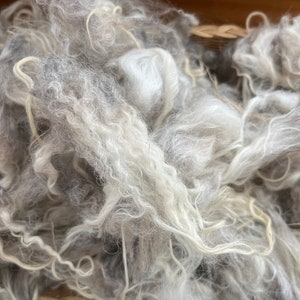 Peut inclure: Gros plan sur un tas de fibres de laine blanches et grises. Les fibres sont douces et moelleuses, et elles sont disposées de manière aléatoire.