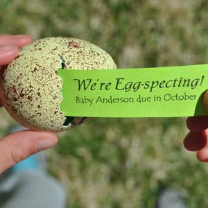 Message in an Egg.  Pregnancy Announcement. Gender Reveal Egg. Promposal Idea. Custom Invitations