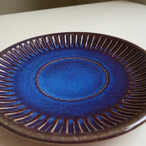 Puede incluir: Un platillo de cer&aacute;mica azul con un borde marr&oacute;n y un dise&ntilde;o elevado y texturizado alrededor del borde.