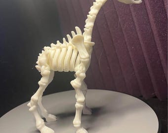 3D-geprint skeletgiraf