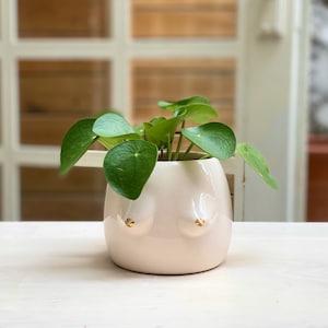 Boob Planter Ceramic Cream Gold Details Handmade Pot planter with hole and plate