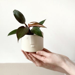Face Planter Stoneware Cream Handmade Pot planter without hole cactus succulent planter