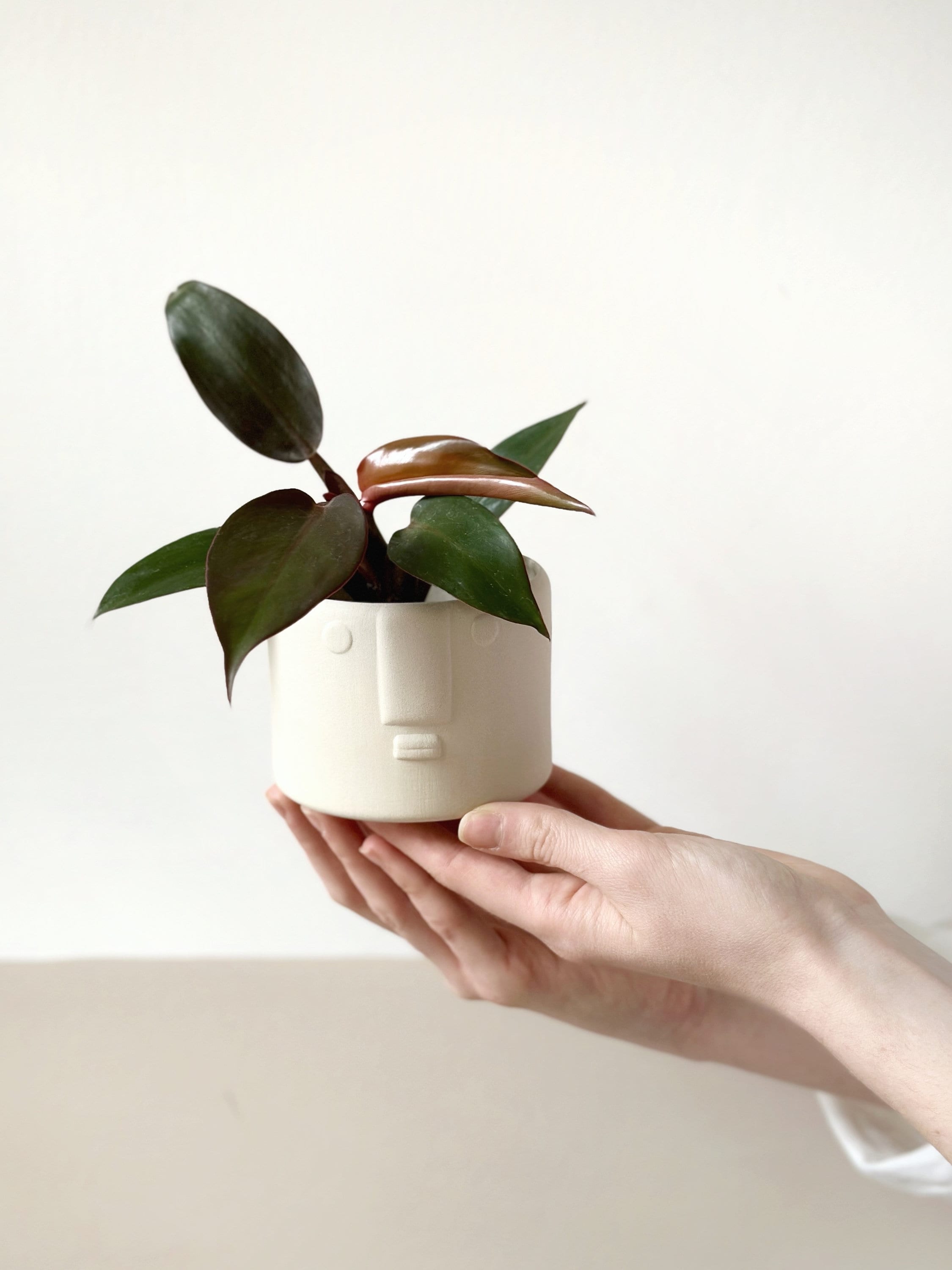 Planter without hole - Etsy sterreich
