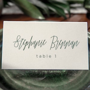 Modern Script Wedding Place Cards • Imprimé • Typographie de style contemporain • Papier en plein air PC010