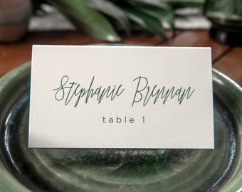 Modern Script Wedding Place Cards • Printed • Contemporary Style Typography • Open Air Paper PC010