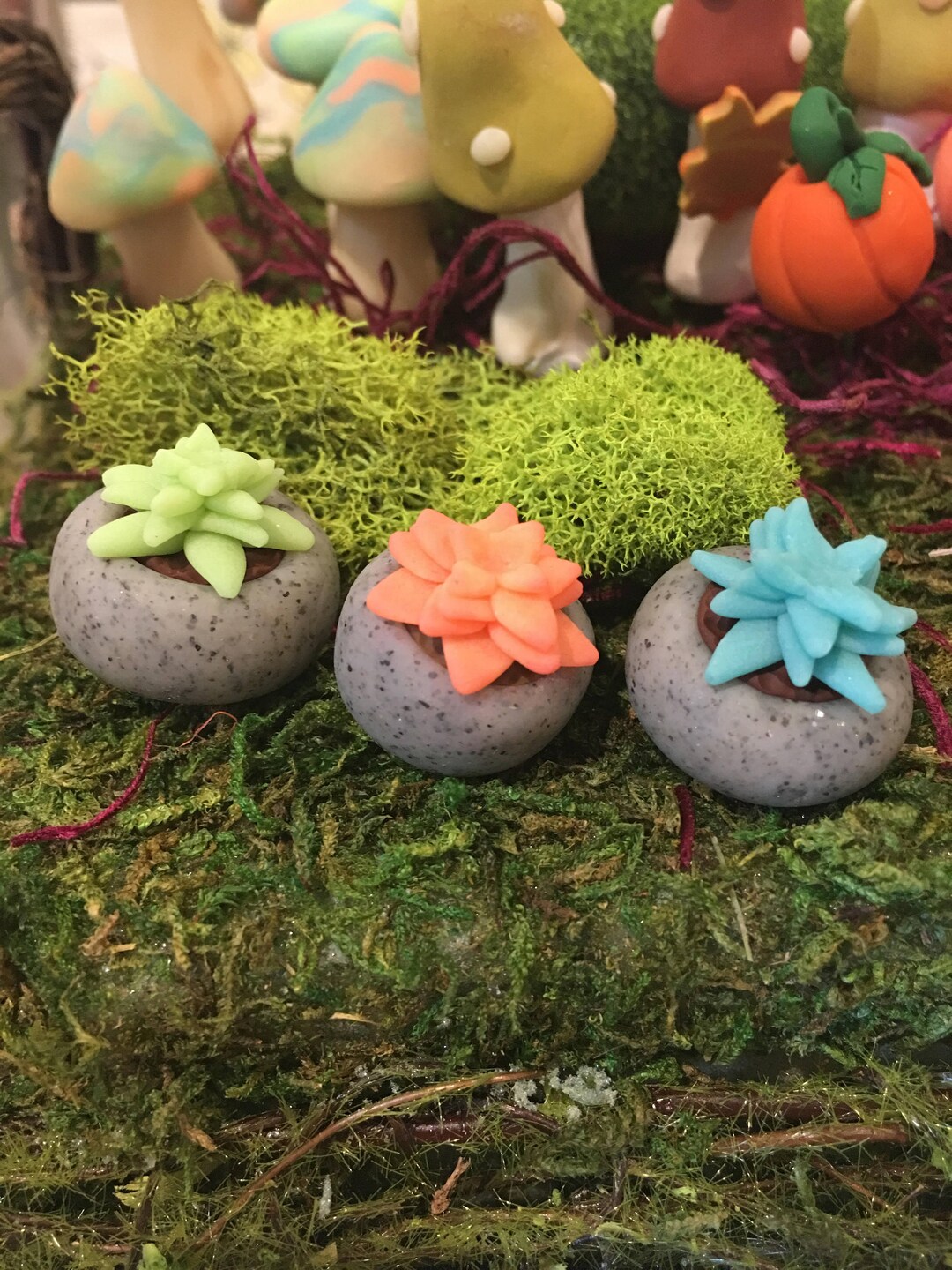 Fake Succulent Plants Fake Succulent Arrangement Glow in the Dark Fairy