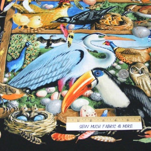 May include: A colorful fabric featuring a variety of birds, including a toucan, a heron, a woodpecker, a pheasant, and a peacock. The fabric also features a nest with baby birds, eggs, and feathers. The fabric is black with a white frame.