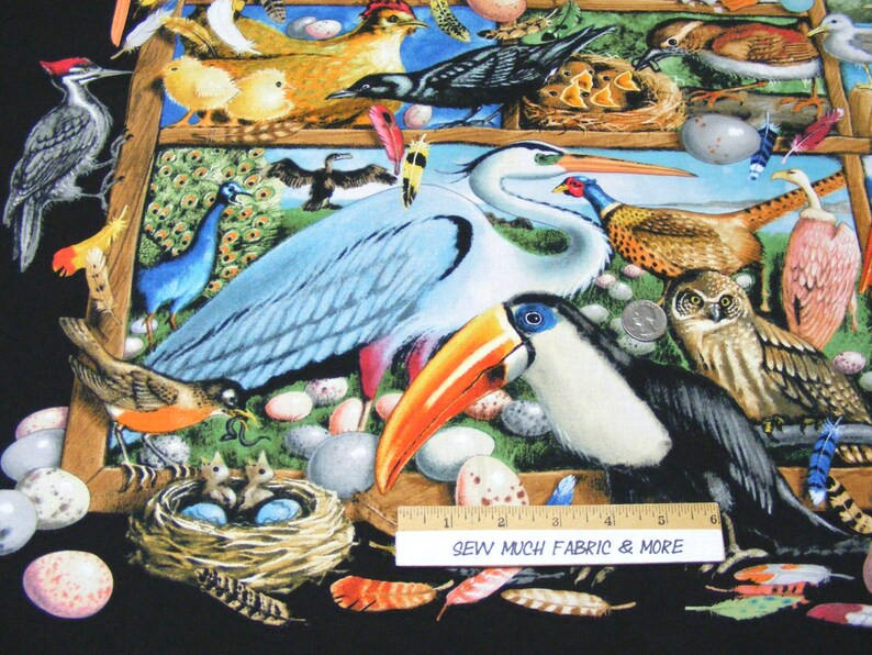 May include: A colorful fabric featuring a variety of birds, including a toucan, a heron, a woodpecker, a pheasant, and a peacock. The fabric also features a nest with baby birds, eggs, and feathers. The fabric is black with a white frame.