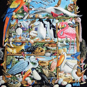 May include: A colorful illustration of various birds in a wooden frame. The birds are arranged in rows, with different species in each row. The birds include a parrot, a penguin, a flamingo, a pelican, a toucan, and many others. The illustration is set against a black background.