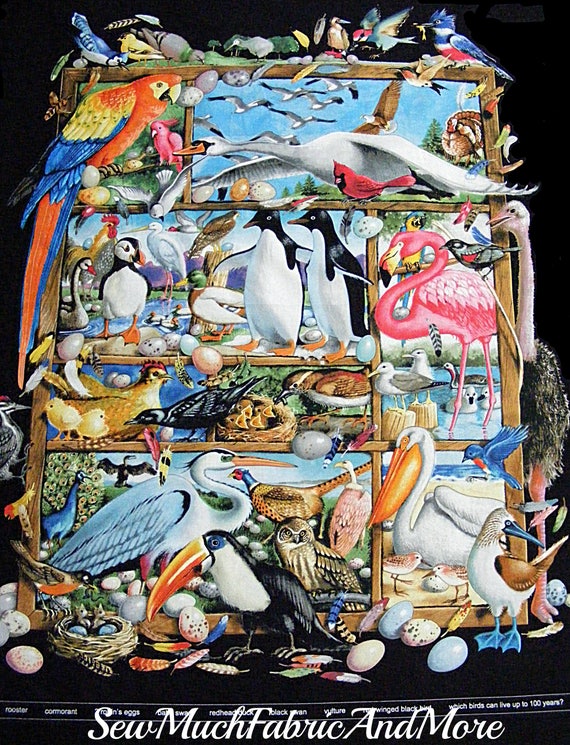 Bird Watching Large Fabric Panel~35"X 44"~Elizabeth Studios~Ostrich~Pelican~peacock-cockatoo & many more birds~cotton