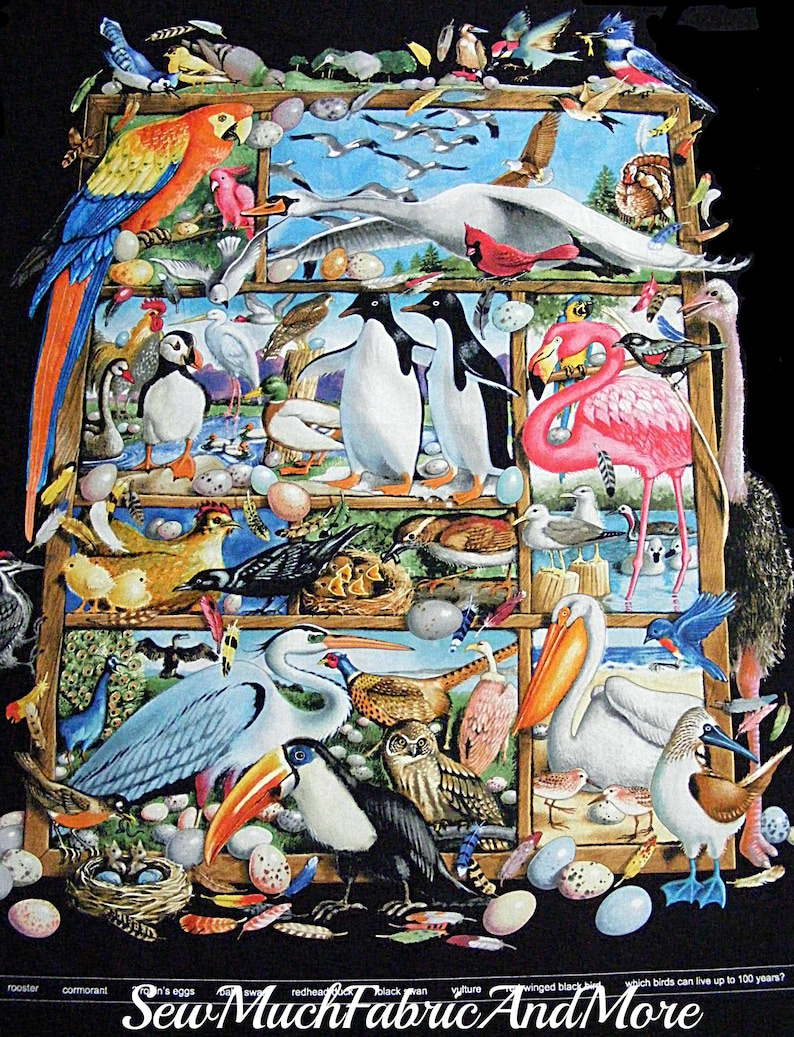 May include: A colorful illustration of various birds in a wooden frame. The birds are arranged in rows, with different species in each row. The birds include a parrot, a penguin, a flamingo, a pelican, a toucan, and many others. The illustration is set against a black background.
