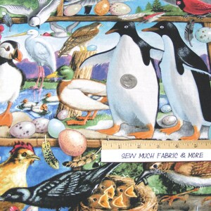 May include: A colorful fabric featuring a variety of birds, including penguins, a puffin, a rooster, a duck, and a cardinal. The fabric also features eggs, a nest, and a ruler with the text "Sew Much Fabric & More".