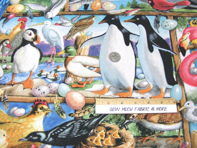 May include: A colorful fabric featuring a variety of birds, including penguins, a puffin, a rooster, a duck, and a cardinal. The fabric also features eggs, a nest, and a ruler with the text "Sew Much Fabric & More".