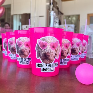 Bachelorette party games cups | Bachelorette party decorations | Bachelorette Party Favors | Set of 20 Bachelorette cups and 2 beer pong