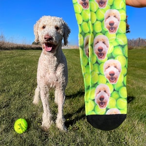 May include: A pair of green socks with a pattern of tennis balls and dog faces. A light-colored dog stands in a grassy field with a tennis ball. The sky is blue.