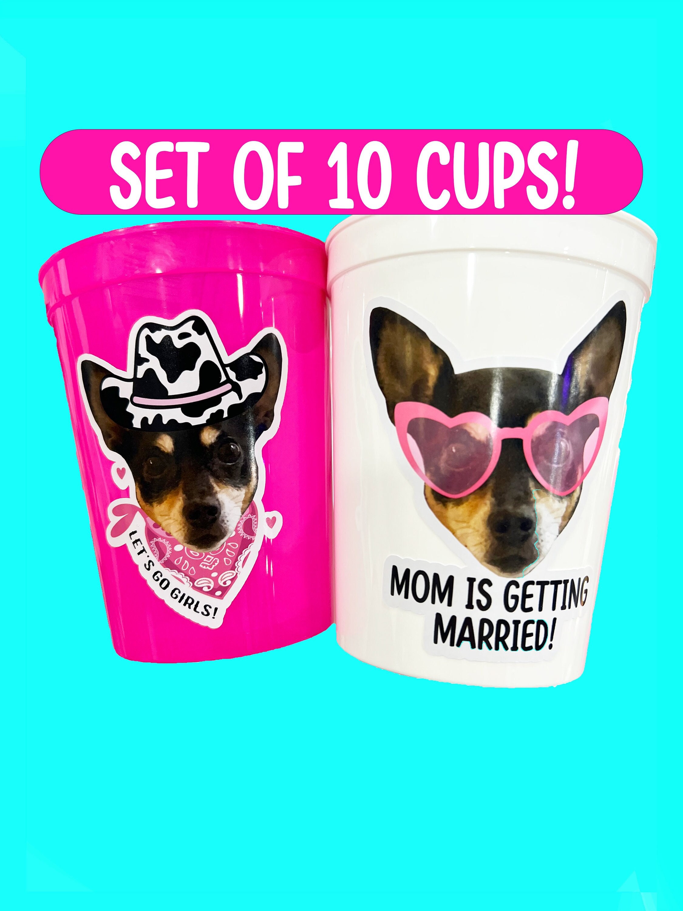 Bachelorette party favors | Set of 10 bachelorette Cups  | Bachelorette party decorations | Bachelorette party games bachelorette favor