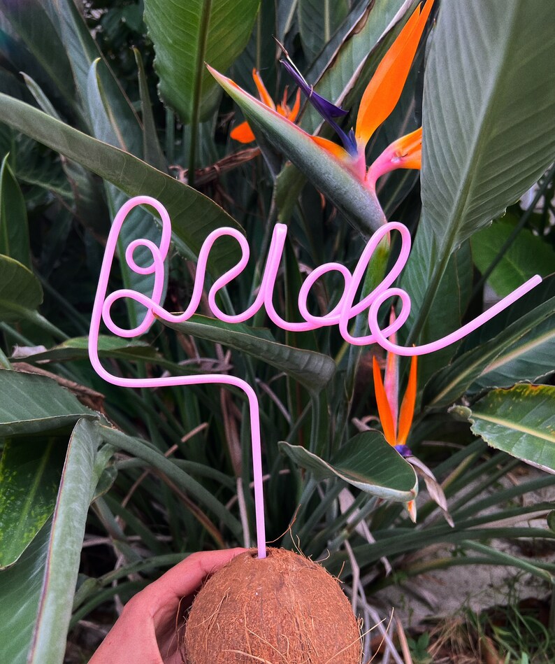 May include: Pink plastic straw bent into the word "bride" and inserted into a brown coconut.