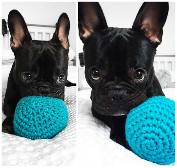 durable dog toys