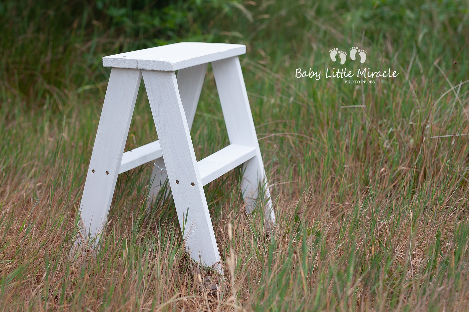 Rustic Wooden Ladder, Photo Prop, Sitters Prop, Wooden Stool, White ...
