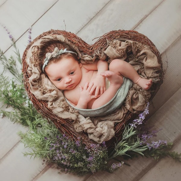 Heart nest, Wood Nest, Owl Nest, Bird Nest, Newborn Photography, Photo Prop, Basket, Newborn Nest, Newborn Prop, Newborn Basket,vintage