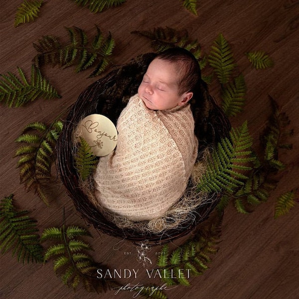 Twig nest, Wood Nest, Owl Nest, Bird Nest, Newborn Photography, Photo Prop, Newborn Nest, Newborn Nest, Newborn Prop, Photography