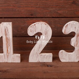 Dígitos de madera rústica de 20 cm, accesorio para fotos de primer cumpleaños, número uno, smash cake, número 1, 2, 3, accesorio para fotos de cumpleaños, dígito 1, dígito 2