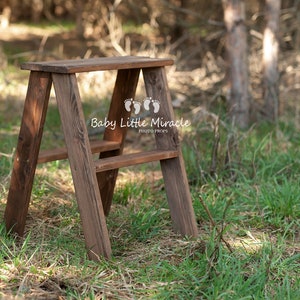 Wooden ladder, photo prop, Sitters prop, Wooden stool, Brown ladder, Little lader, Baby photography prop, brown ladder