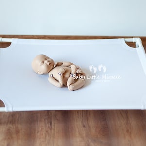 May include: A newborn photography prop featuring a white frame with a stretched white fabric surface. A realistic baby doll is positioned on the fabric. The doll is light brown and has its arms and legs bent. The words "Baby Little Miracle" are printed on the fabric.