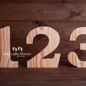 Dígitos de madera de 18 cm, accesorio fotográfico para el primer cumpleaños, número uno, smash cake, número 1, 2, 3, accesorio fotográfico de cumpleaños, accesorio fotográfico, foto de bebé