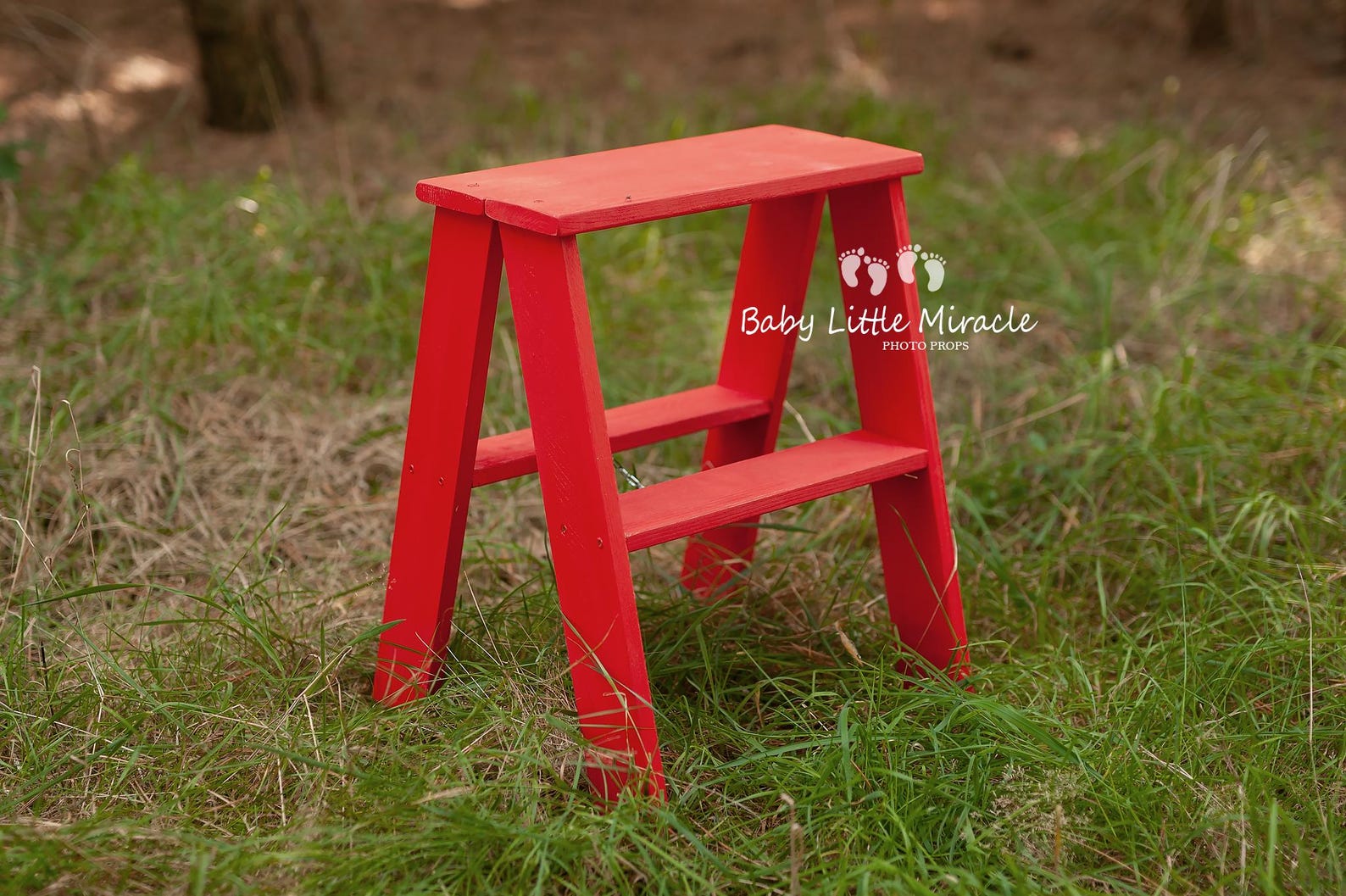 Rustic Wooden Ladder, Photo Prop, Sitters Prop, Wooden Stool, White ...