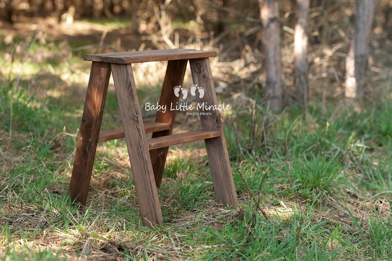Rustic Wooden Ladder, Photo Prop, Sitters Prop, Wooden Stool, White ...