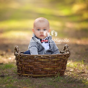 Newborn Photography, Wood Nest, Owl Nest, Photo Prop, Newborn basket, Newborn Nest, Twig basket, Newborn Prop, Photography, vintage prop