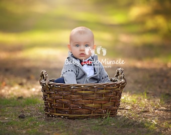 Newborn Photography, Wood Nest, Owl Nest, Photo Prop, Newborn basket, Newborn Nest, Twig basket, Newborn Prop, Photography, vintage prop