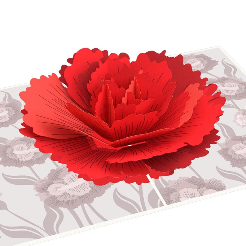 Unipop Carnation Flower Pop up Card Valentine Day Card Etsy