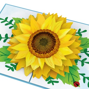 Unipop Sunflower Pop Up Card, Mother Day Card, Father Day Card, Grandparents Day Card, Graduation Card, Get Well Card, Congratulations Card