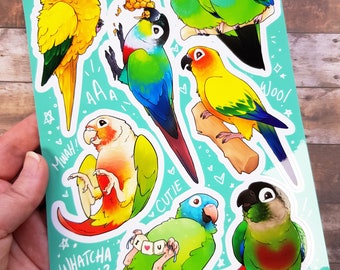 Conure Crew - Clear Vinyl A5 Sticker Sheet