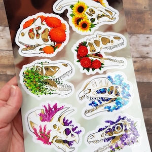 Floral Skull Collection - Clear Vinyl A5 Sticker Sheet