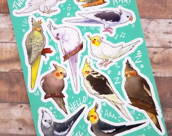 Tiel Party - Clear Vinyl A5 Sticker Sheet