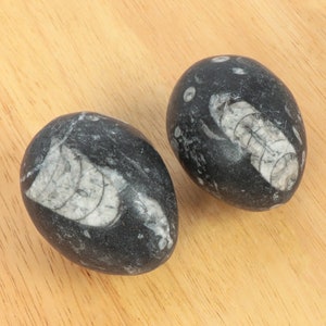 Polished marble onyx eggs || set of 2 || vintage || black & white egg