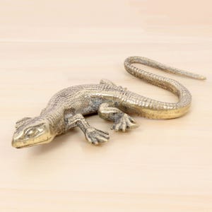 May include: A detailed brass lizard figurine with textured scales and a curled tail. The reptile is posed on a light-colored surface, showcasing its intricate design and metallic finish. This decorative piece adds a touch of nature-inspired art.