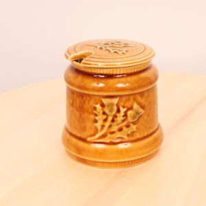 Puede incluir: Un tarro de cerámica marrón con una tapa que presenta un diseño de cardo. El tarro tiene un pequeño pico en la tapa.