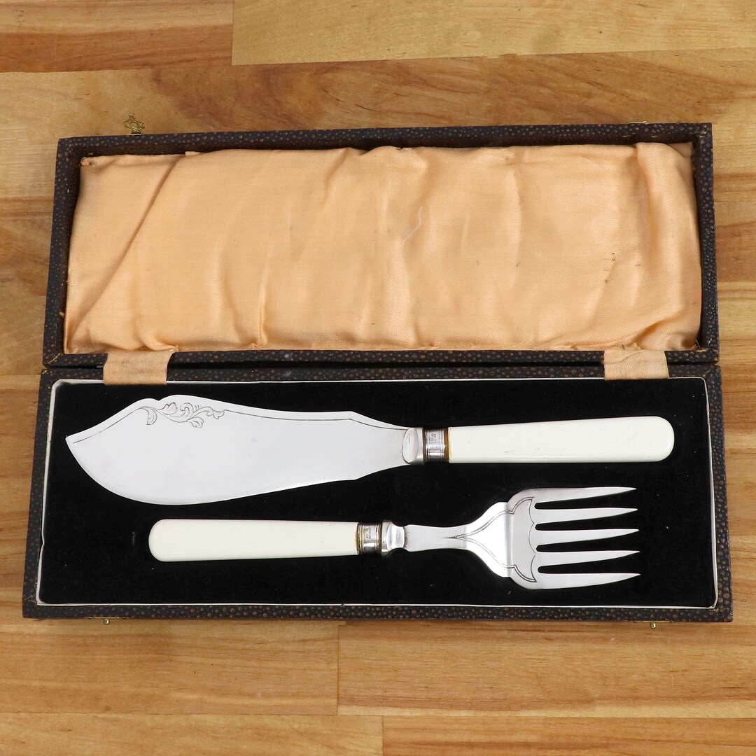 Fish Serving Knife and Fork With Plastic Handle in a Leather Box