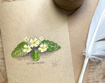 Primrose - Limited Edition Hand painted ‘Spring Favourites’ Greetings Card. Hand Painted & signed by the artist.