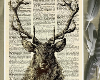 Stag Print - Eclectic Wall Art, Deer Print, Vintage, Stag Head, Gothic, Scandinavian, Stag Wall Art, Dictionary Print, Book Page Art