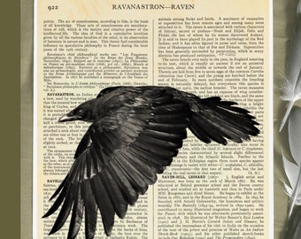 Raven, Crow Art, Mjolnir Raven, eclectische muurkunst, Edgar Allan Poe, gotisch, woordenboekkunst, Poe The Raven, Raven Feather, zwart