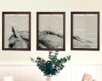 Paardkunst, paardensportkunst, woordenboekprint, Appaloosas, crème, eclectisch, paardendecor, monochrome set, dierenmuurkunst, set van 3