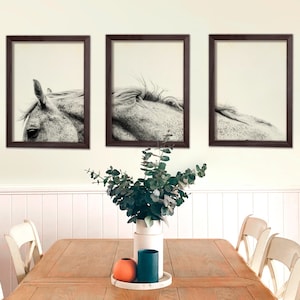 Horse Art, Appaloosas, Equestrian Art, Eclectic, Pastel Print, Cream, Horse Decor, Monochrome Set, Wall Decor, Animal Wall Art, Set of 3