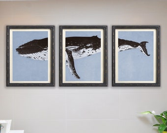 Humpback Whale - Eclectic Wall Art, Humpback Whale Wall Art, Nature Prints, Set of 3, Nautical Decor, Terra Nova, Black Art Wall Art