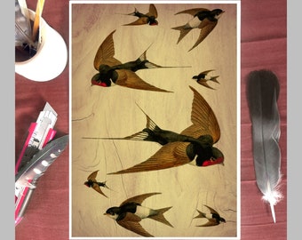 USA Vintage swallow canvas art キャンバスアート USA Vintage swallow canvas art キャンバスアート USA Vintage